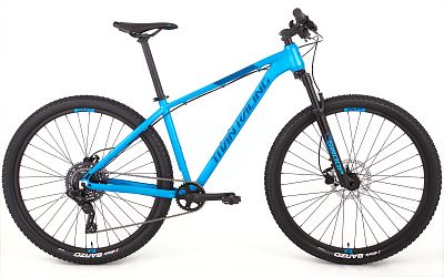 Превью Горный велосипед 29 дюймов Велосипед TITAN RACING Rogue Ryde (2024)